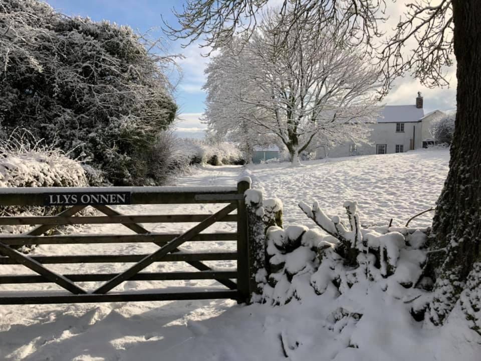 Llys Onnen - North Wales Holiday Cottage مولد المظهر الخارجي الصورة