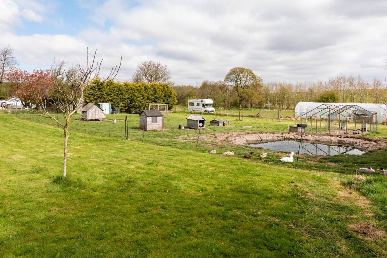 Llys Onnen - North Wales Holiday Cottage مولد المظهر الخارجي الصورة