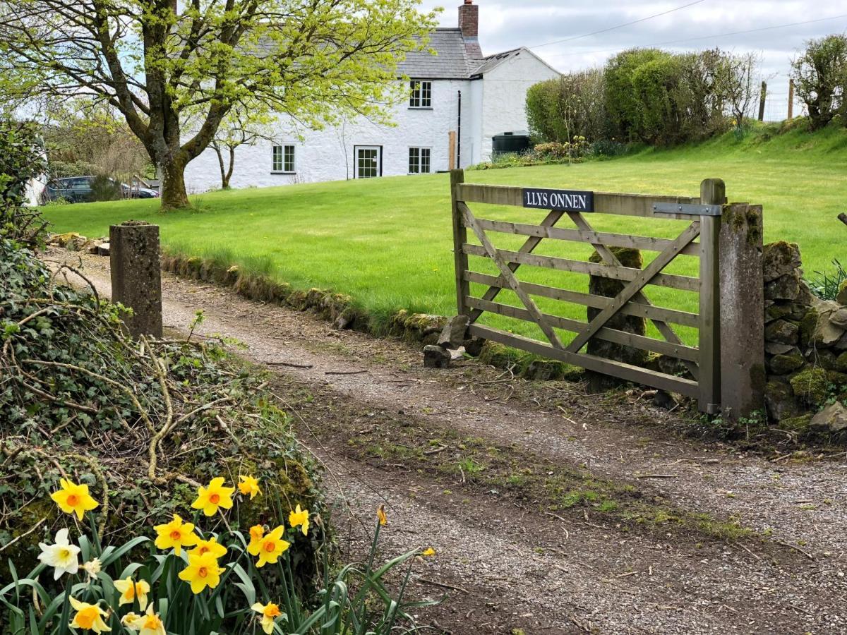 Llys Onnen - North Wales Holiday Cottage مولد المظهر الخارجي الصورة